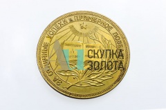 Медаль "За отличные успехи и примерное поведение"